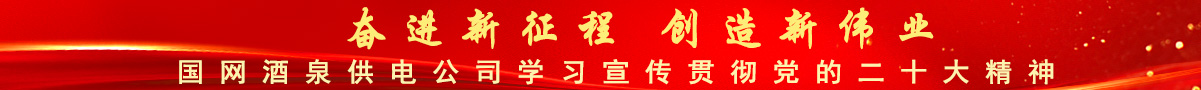 国网BC贷网址供电公司学习宣传贯彻党的二十大精神