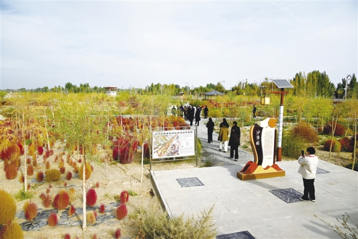 新建的口袋公园敦煌市沙泽园